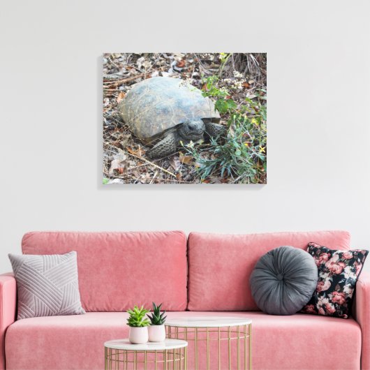 Gopher schildpad op Morning Stroll Canvas Afdruk (Insitu (Woonkamer))