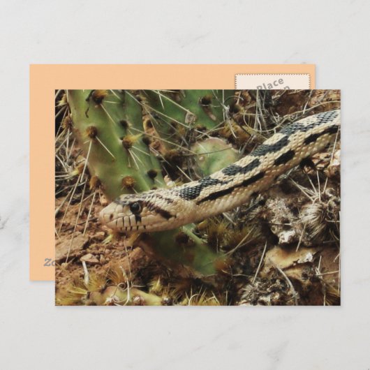 Gopher Snake Blank Briefkaart (Voorkant / Achterkant)