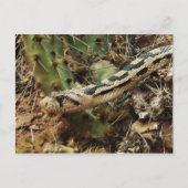 Gopher Snake Blank Briefkaart (Voorkant)