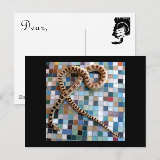 Gopher Snake Wonder Valley Briefkaart (Voorkant / Achterkant)