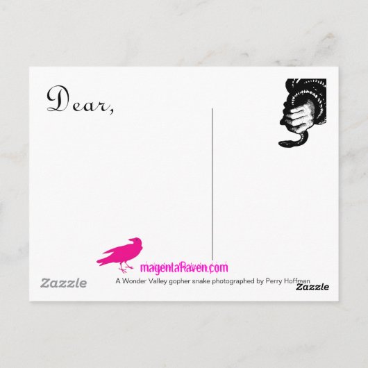 Gopher Snake Wonder Valley Briefkaart (Achterkant)