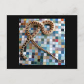 Gopher Snake Wonder Valley Briefkaart (Voorkant)