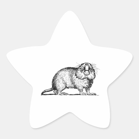 Gopher Ster Sticker (Voorkant)