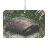 Gopher Tortoise Luchtverfrisser (Achterkant)