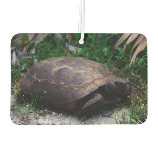 Gopher Tortoise Luchtverfrisser (Achterkant)