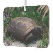 Gopher Tortoise Luchtverfrisser (Links)