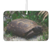Gopher Tortoise Luchtverfrisser (Voorkant)