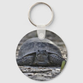 Gopher Tortoise Photo Keychain (Voorkant)