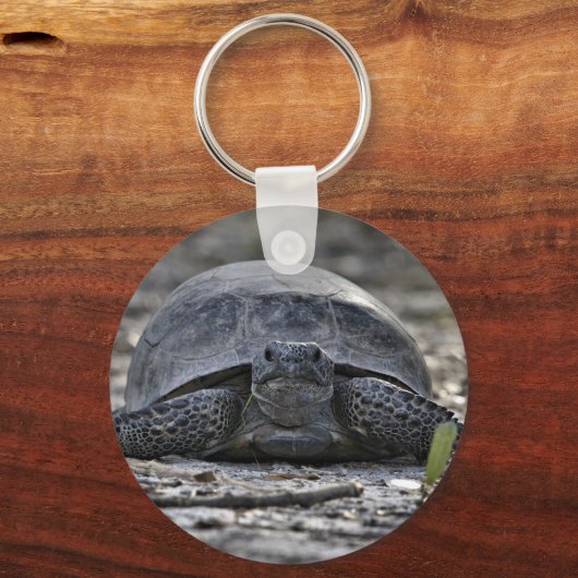 Gopher Tortoise Photo Keychain (Voorkant)
