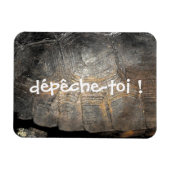 Gopher Tortoise Shell Magneet (Horizontaal)