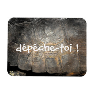 Gopher Tortoise Shell Magneet