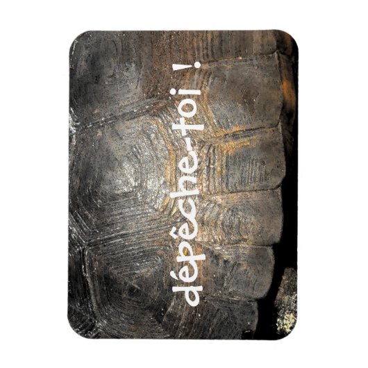 Gopher Tortoise Shell Magneet (Verticaal)