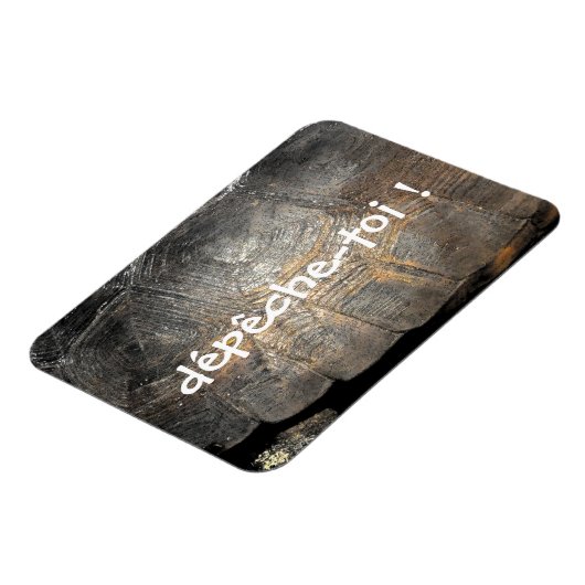 Gopher Tortoise Shell Magneet (Linkerzijde)