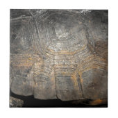 Gopher Tortoise Shell Tegeltje (Voorkant)