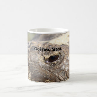 Gopher Turtle, Koffie, Stat! Koffiemok