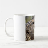 Gopher Turtle, Koffie, Stat! Koffiemok (Links)