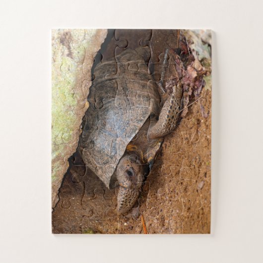 Gopher Turtle Legpuzzel (Verticaal)