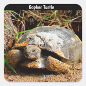 Gopher Turtle Vierkante Sticker (Voorkant)