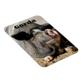 Gorda Magnet Magneet (Rechterzijde)