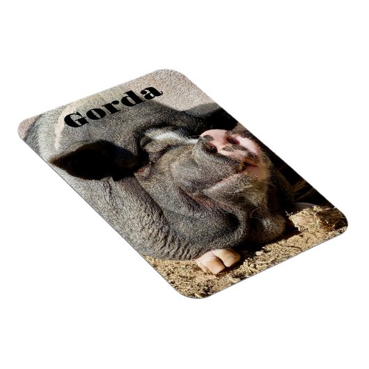 Gorda Magnet Magneet (Rechterzijde)