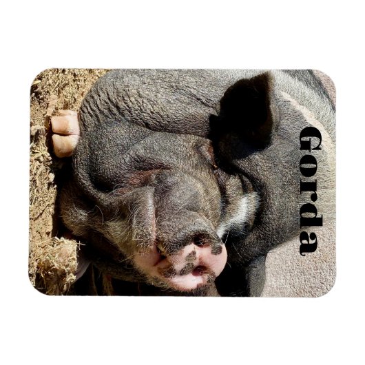 Gorda Magnet Magneet (Horizontaal)