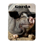 Gorda Magnet Magneet (Verticaal)