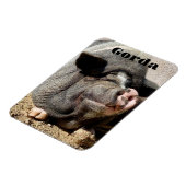 Gorda Magnet Magneet (Linkerzijde)