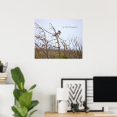 Gordel IJsvogel Foto Poster (Thuiskantoor)