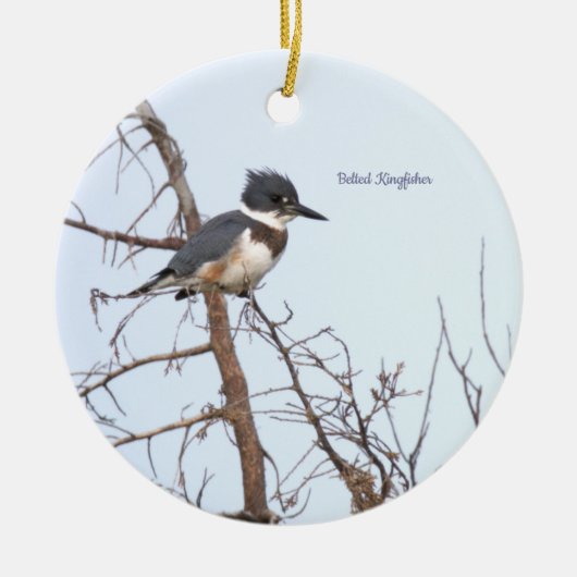 Gordel IJsvogel Vogelornament Keramisch Ornament (Voorkant)