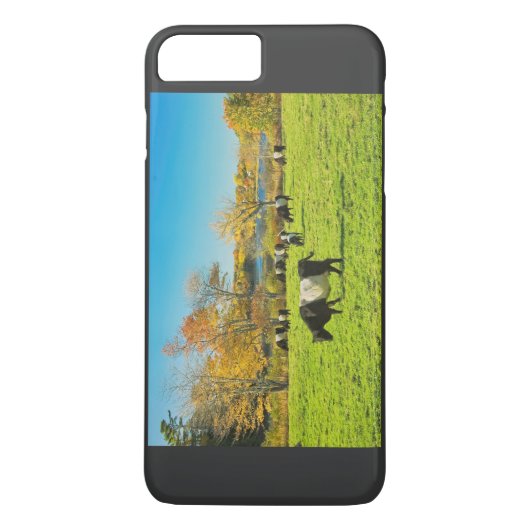 Gordeld Galloway-koeien grazend op gras in de herf Case-Mate iPhone Case (Achterkant)