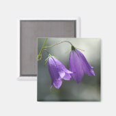 gordels van geheimen magnet (Voorkant / Achterkant)