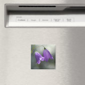 gordels van geheimen magnet (Insitu (Vaatwasser))