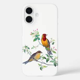 Gordelzangers op takken iPhone 16 hoesje