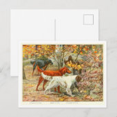 Gordon, Ierse en Engelse Setterhonden Ansichtkaart Briefkaart (Voorkant / Achterkant)