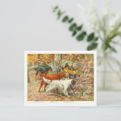 Gordon, Irish, and English Setter Dogs Postcard Briefkaart (Staand voorkant)