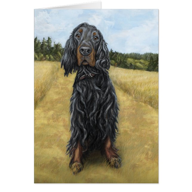 Gordon Setter (Voorkant)