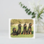 Gordon Setter 9Y105D-080 Briefkaart (Staand voorkant)