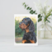 Gordon Setter 9Y109D-021 Briefkaart (Staand voorkant)