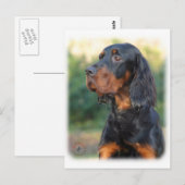 Gordon Setter 9Y109D-021 Briefkaart (Voorkant / Achterkant)