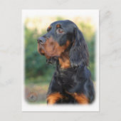 Gordon Setter 9Y109D-021 Briefkaart (Voorkant)