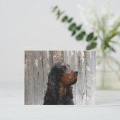 Gordon Setter Ansichtkaart Briefkaart (Staand voorkant)