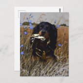 Gordon Setter Briefkaart (Voorkant / Achterkant)