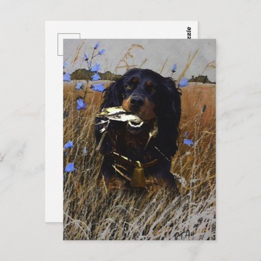 Gordon Setter Briefkaart (Voorkant / Achterkant)