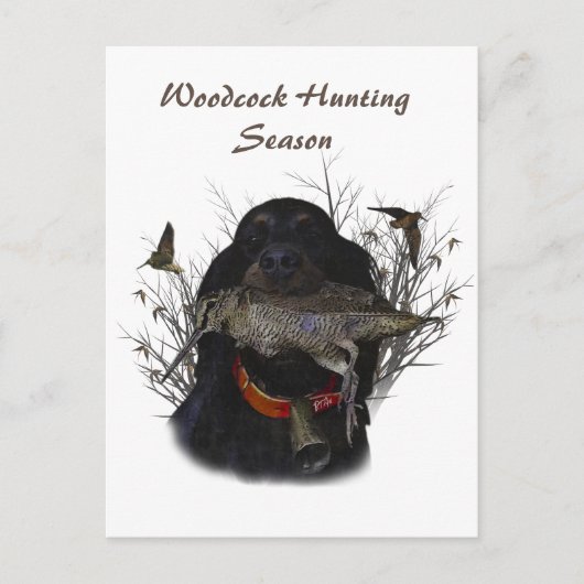 Gordon Setter Briefkaart (Voorkant)