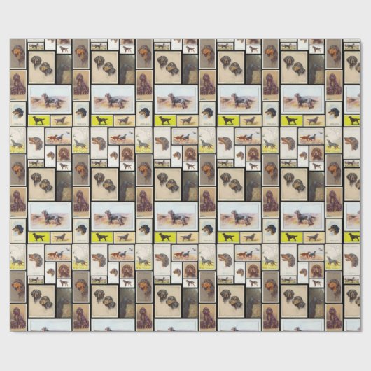 Gordon Setter Cigarette Cards Cadeaupapier (Vlak)