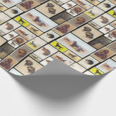 Gordon Setter Cigarette Cards Cadeaupapier (Hoek)