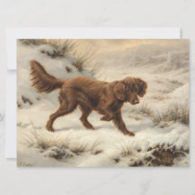 Gordon Setter Dog in een Sneeuwwitje Winter Landsc