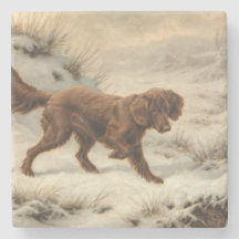 Gordon Setter Dog in een Sneeuwwitje Winter Landsc