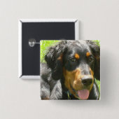 Gordon Setter Dog Pin Vierkante Button 5,1 Cm (Voorkant /achterkant)