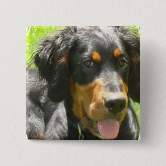Gordon Setter Dog Pin Vierkante Button 5,1 Cm (Voorkant)